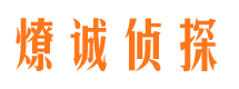 墉桥市场调查